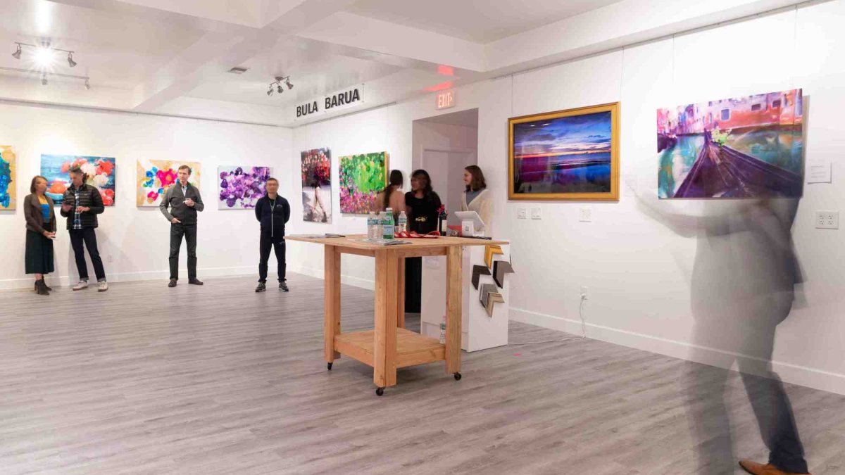 Bula Barua Gallery