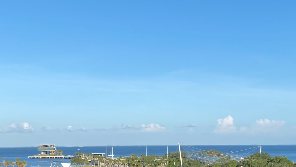 View from canopy