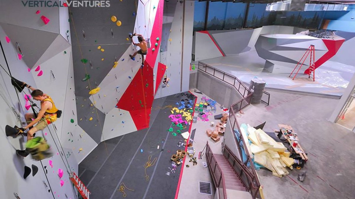 Vertical Ventures