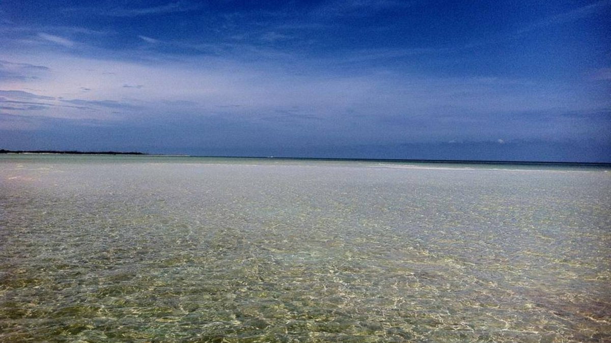 Paradise right off our coast
