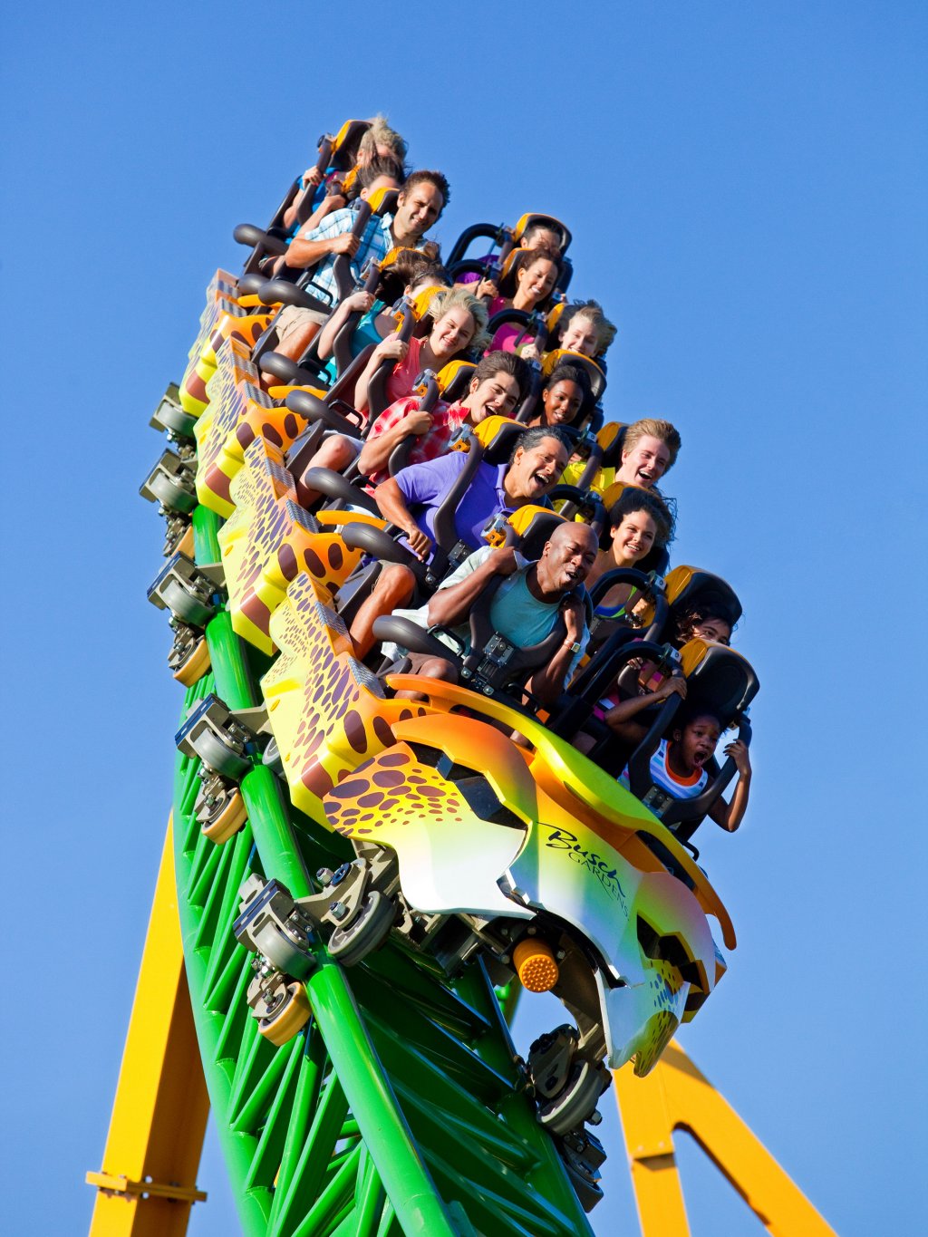 A roller coaster going down at Busch Gardens