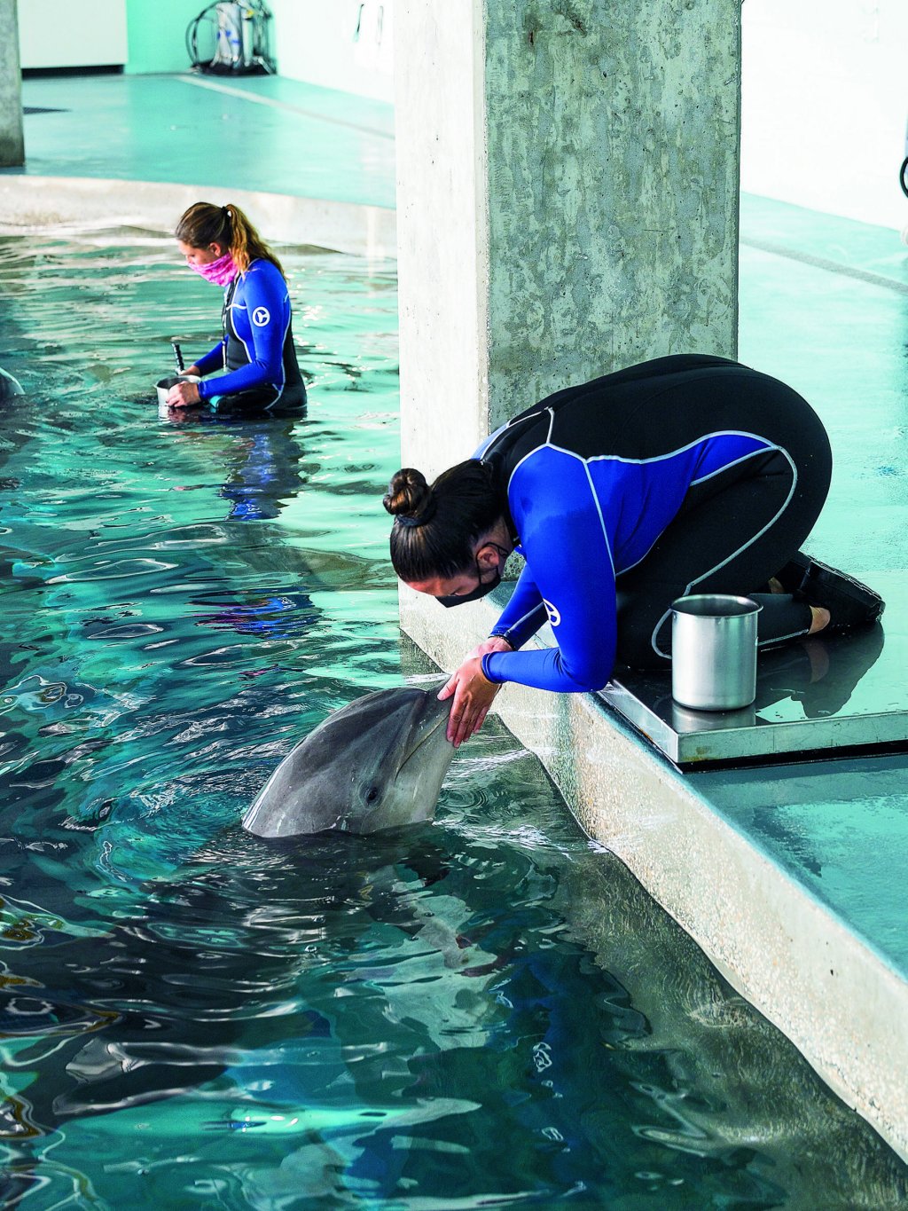 A trainer in a blue and black wetsuit sits on the side of a pool near a dolphin. A pail of fish is by her side.