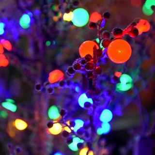 colored globe shaped lights on a tree branch