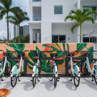 bike share bicycles parked in front of a small tropical mural