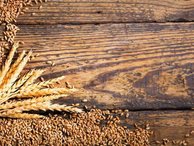 Wheat leaf and grains on top of a wooden surface.