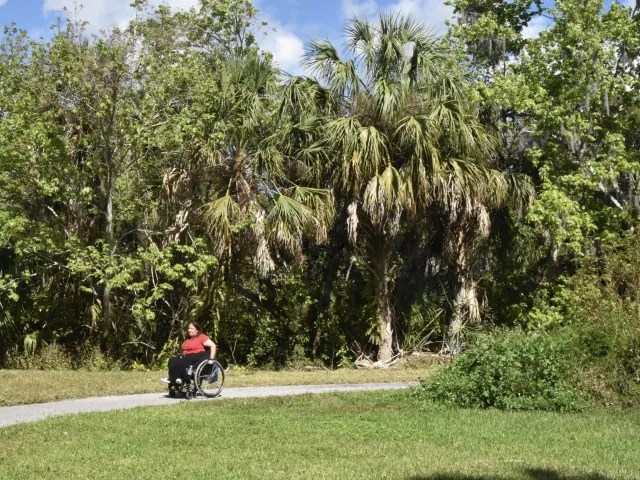 Woman in wheelchair rolls along paved path through park