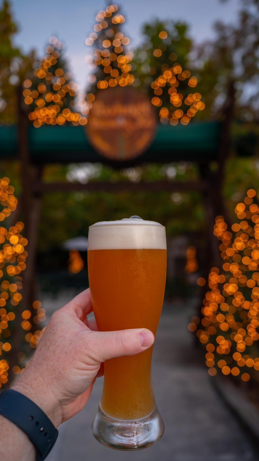 a person's hand holding out a tall glass of beer with holiday lights in the background at Woodwright Brewing Co in Dunedin