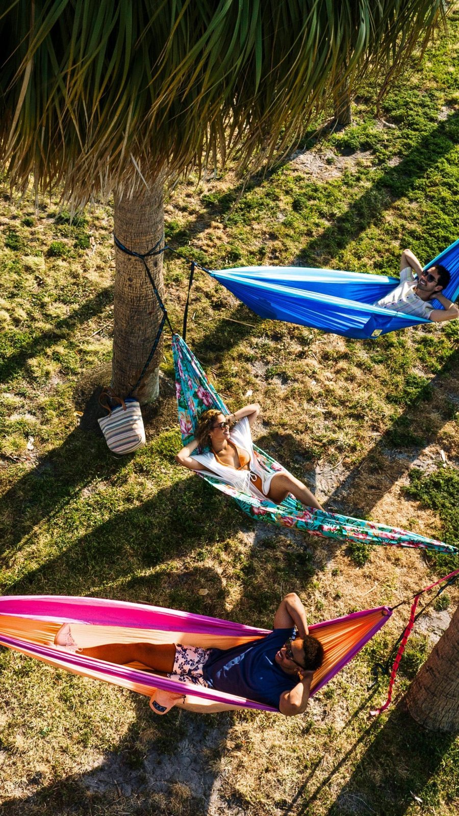 people relaxing in 3 hammocks tied up between palm trees at Vinoy Park in St. Petersburg FL