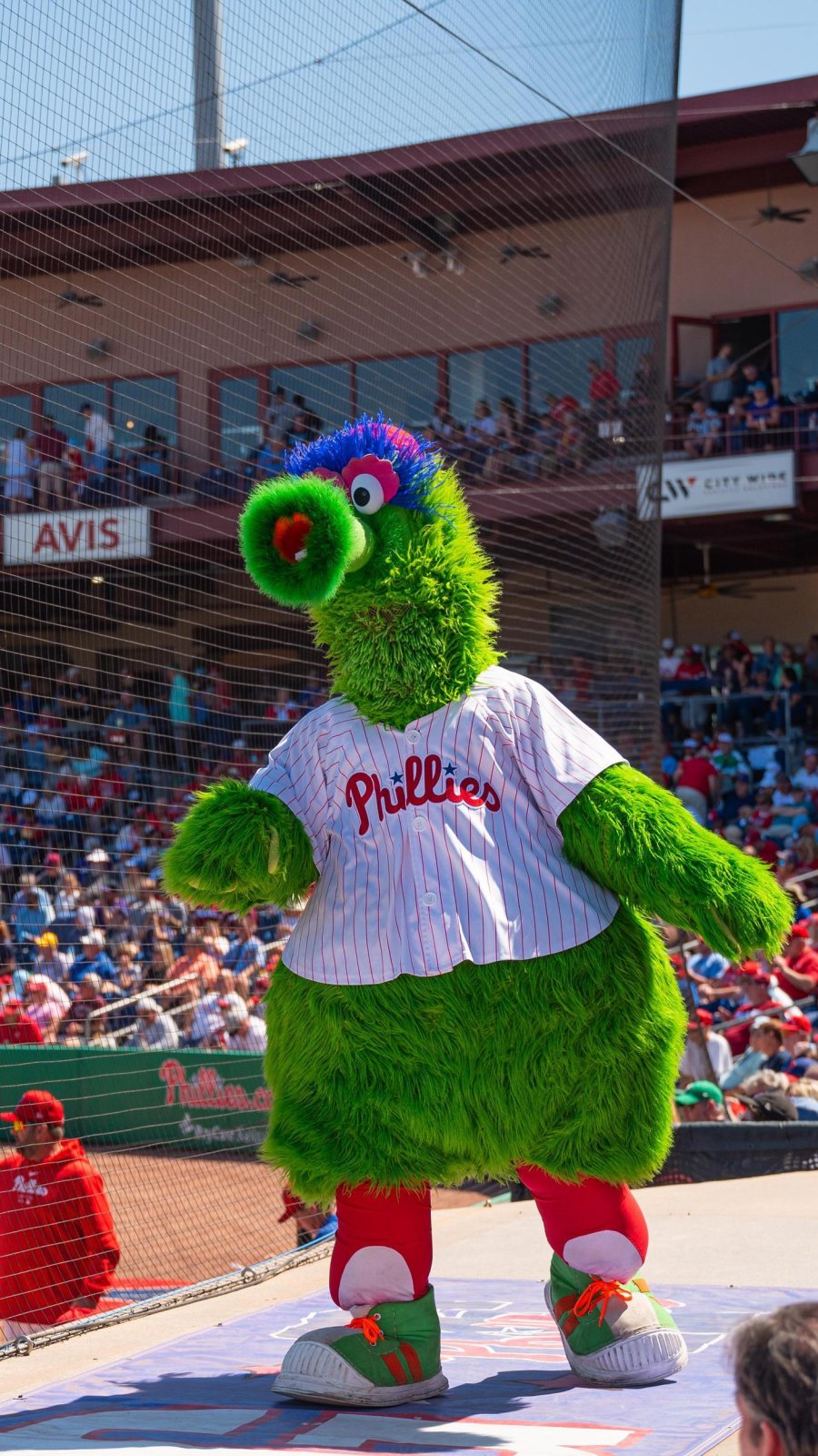 phillies mascot the phillies fanatic at a spring training game