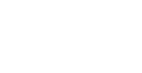 Visit the USA logo
